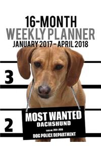 2017-2018 Weekly Planner - Most Wanted Dachshund
