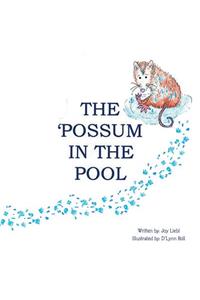 Possum in the Pool