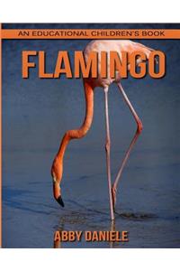 Flamingo! An Educational Children's Book about Flamingo with Fun Facts & Photos