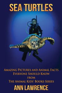 Sea Turtles