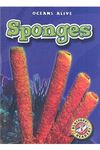 Sponges