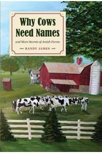 Why Cows Need Names And More Secrets of Amish Farms: And More Secrets of Amish Farms