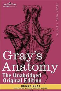 Gray's Anatomy