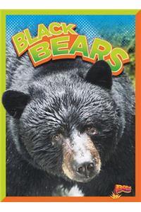 Black Bears