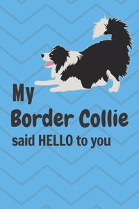 My Border Collie said HELLO to you