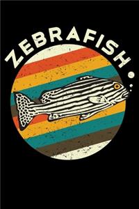 Zebra Fish