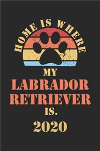 Labrador Retriever 2020