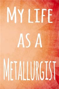 My Life as a Metallurgist