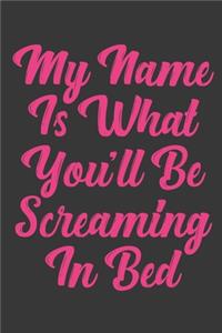 My Name Is What You'll Be Screaming In Bed