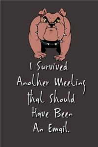 I Survived Another Meeting That Should Have Been An Email.