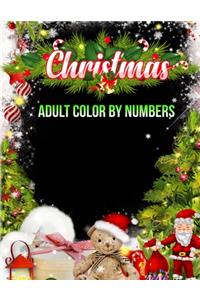 Christmas Adult Color By Numbers