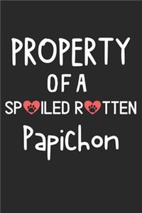 Property Of A Spoiled Rotten Papichon