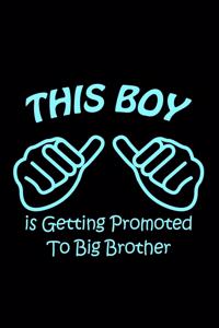 This Boy is Getting Promoted to Big Brother