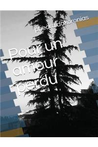 Pour Un Amour Perdu