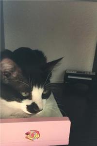 Cat Relaxing in a Doll House Bed Journal