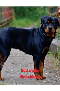 Rottweiler Sketchbook