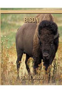 Bison