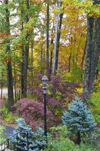 2019 Weekly Planner Pretty Landscaping Autumn 134 Pages