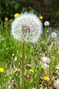 2019 Weekly Planner Dandelion Seeds Flower 134 Pages