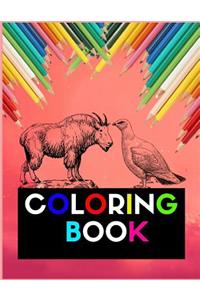 Animal Coloring Book