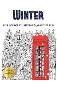 Für Fortgeschrittene Malbücher für Erwachsene (Winter)