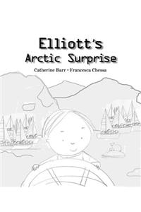 Elliot's Arctic Surprise