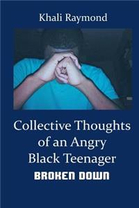 Collective Thoughts of an Angry Black Teenager: Broken Down