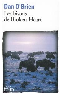 Bisons de Broken Heart