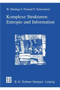 Komplexe Strukturen: Entropie und Information