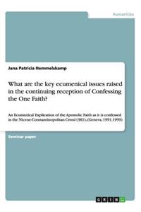 What are the key ecumenical issues raised in the continuing reception of Confessing the One Faith?