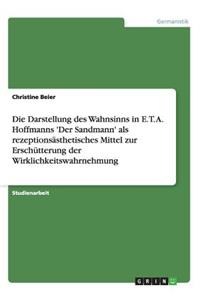 Die Darstellung des Wahnsinns in E. T. A. Hoffmanns 'Der Sandmann' als rezeptionsästhetisches Mittel zur Erschütterung der Wirklichkeitswahrnehmung