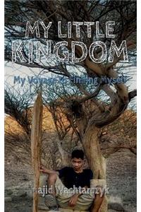My Little Kingdom