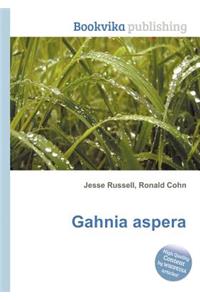 Gahnia Aspera