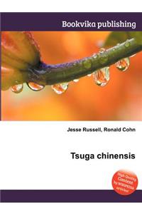 Tsuga Chinensis