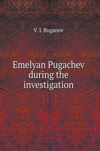 Emelyan Pugachev during the investigation