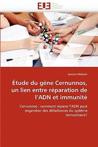 Étude Du Gène Cernunnos, Un Lien Entre Réparation de l''adn Et Immunité