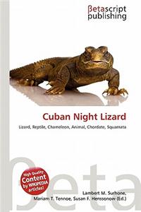 Cuban Night Lizard