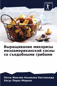 Выращивание микоризы мезоамериканской с&