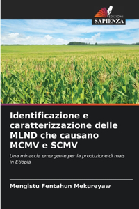Identificazione e caratterizzazione delle MLND che causano MCMV e SCMV