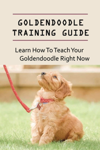 Goldendoodle Training Guide