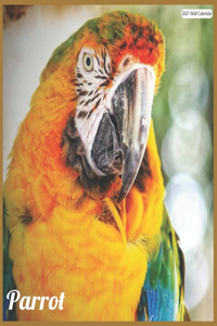 Parrot 2021 Wall Calendar