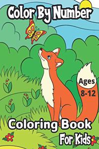 Color By Number Ages 8-12 Coloring Book For Kids