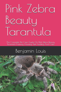 Pink Zebra Beauty Tarantula