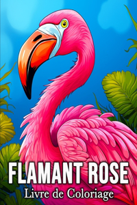 Flamant Rose Livre de Coloriage