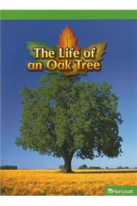 Science Leveled Readers: Above-Level Reader Grade 5 Life of an Oak Tree