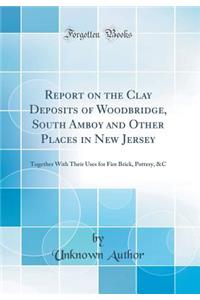 Report on the Clay Deposits of Woodbridge, South Amboy and Other Places in New Jersey: Together with Their Uses for Fire Brick, Pottery, &c (Classic Reprint)