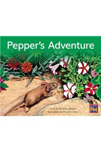 Pepper's Adventure