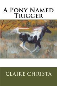 Pony Named Trigger