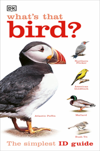 What's That Bird?