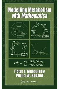 Modelling Metabolism with Mathematica